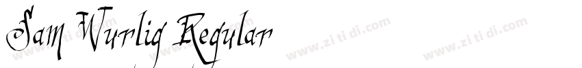Sam Wurlig Regular字体转换